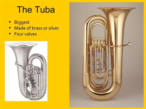 Image result for Lesser-Known Brass Instruments