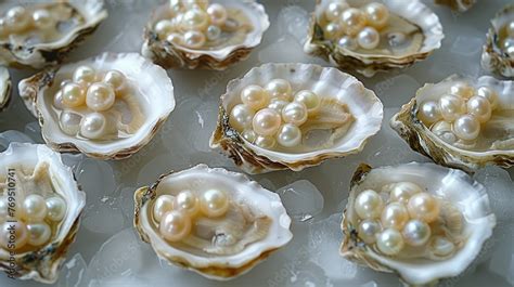 Image result for Pearly Shells Lesson