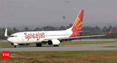 Image result for SpiceJet India