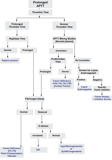 Screening Tests in Haemostasis: The Thrombin Time