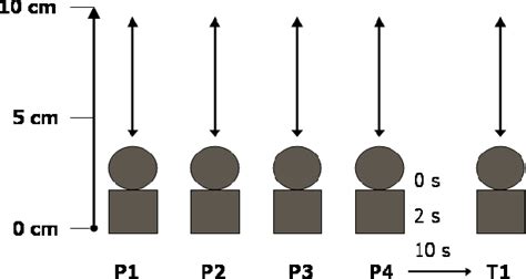 Image result for Haptic Memory Example