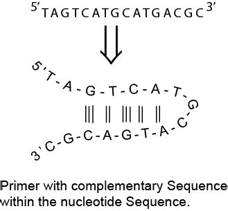 Polymerase Chain Reaction