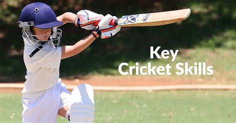 Image result for Advanced Cricket Tutorial