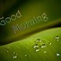 Image result for Good Morning Bunny Images