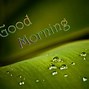 Image result for Good Morning Bunny Cute Quotes With