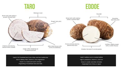 The Difference Between Taro & Eddoe | City Wide Produce
