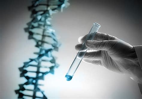 Activate DNA Test 的图像结果