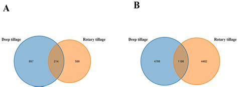 Effects of Rotary and Deep Tillage on Soil Environment and Melon Root ...