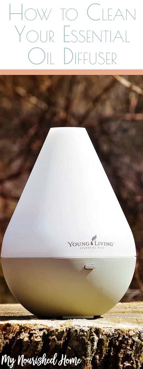 Image result for Clean Essential Oil Diffuser