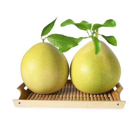 柚子成熟上市价格多少？柚子种植前景分析-行情分析-中国花木网