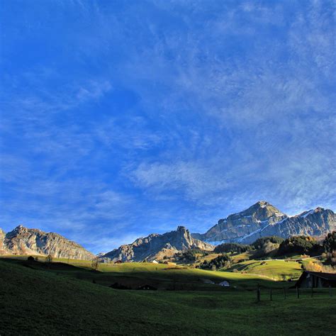 Alps Encoder 的图像结果