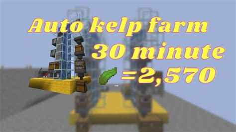 Image result for Auto Kelp Block Farm Java 1 21 5