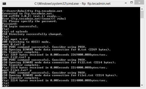 Image result for FTP Get Command Line