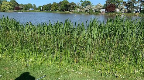 SYCAMORE LAKES (Burgh le Marsh) - 2026 Cottage Reviews & Photos ...