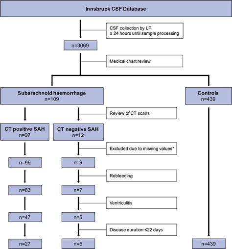 CSF Flow Chart 的图像结果