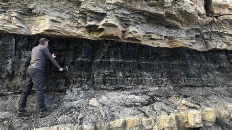 Rare-earth elements could be hidden inside coal mines | Live Science