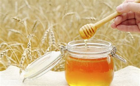 蜂蜜不能和什么一起吃或同食？蜂蜜食物相克表大全-食物相克-聚餐网