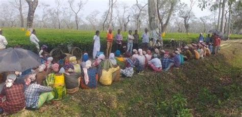 Photo Gallery | National Health Mission | Government Of Assam, India