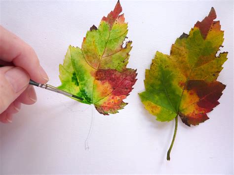 How To Watercolor Paint Leaves at Donna Champion blog