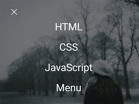 Image result for JavaScript Code All Screen