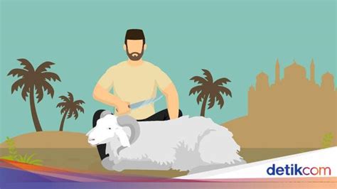 Image result for Typesscripts Components Graphics