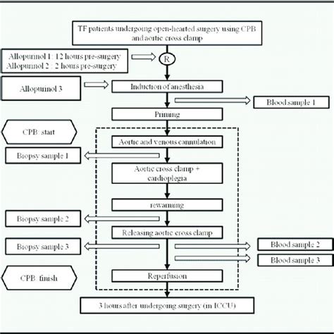 Image result for Tissue Sample during Surgery