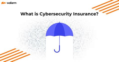 Image result for Cyber Security Insurance Explained