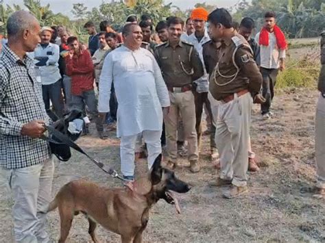 7-year-old found dead in Bihar's Motihari: Head injured with sharp ...