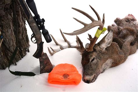 Muzzleloading Types 的图像结果