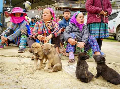 Image result for DevOps LinkedIn Cover Photo