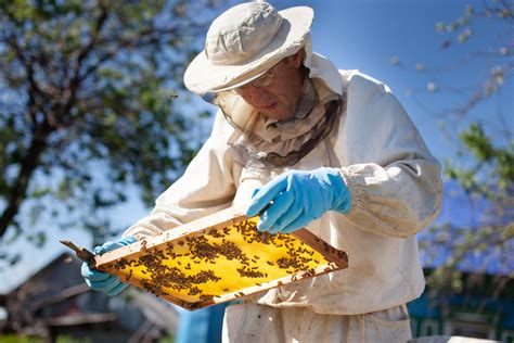 What You Need to Get Started Beekeeping