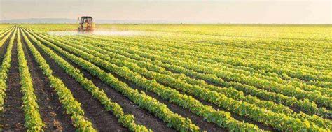 黑龙江有机订单大豆种植 330亩多收益3万余元_绿色产品种植_技术视频_陕西农业产业网