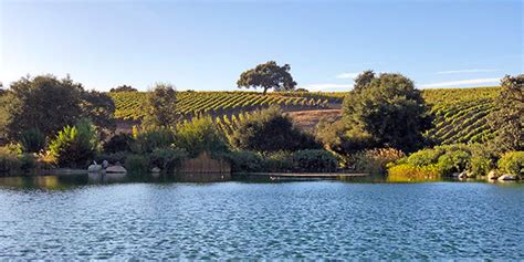 Santa Barbara Wineries