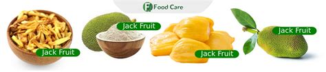 Food Care INDIA – Food Care INDIA