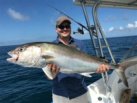 Just Fish PCB, L.L.C. (Panama City Beach) - 2022 What to Know Before ...