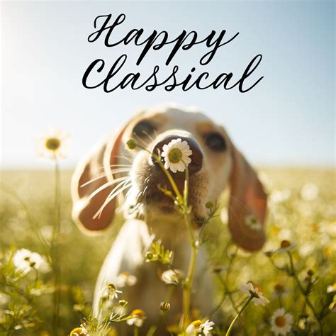 Happy Classical Music | Uplifting, Inspiring & Motivational - Halidon