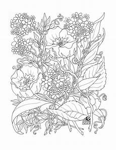 blumen ausmalbilder erwachsene pin auf zeichnen malen basteln photographieren blumen ausmalbilder erwachsene pin auf zeichnen malen basteln photographieren