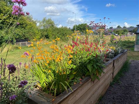 Your Slice of CEIC – Summer 2025 Newsletter - Circular Economy ...