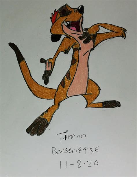 Image result for Timon Drawing