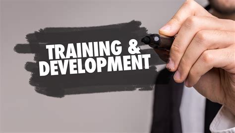 Training and Development 的图像结果
