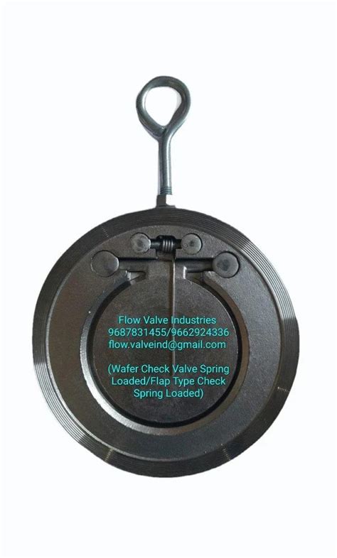 Image result for Wafer Type Spring Loaded Check Valve