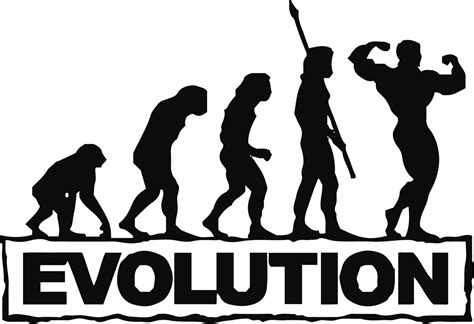 Gym Sports Wall Decal Bodybuilding Fitness Evolution - Evolution ...