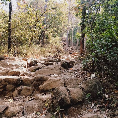 KARNALA BIRD SANCTUARY - All You Need to Know BEFORE You Go 2026 (with ...