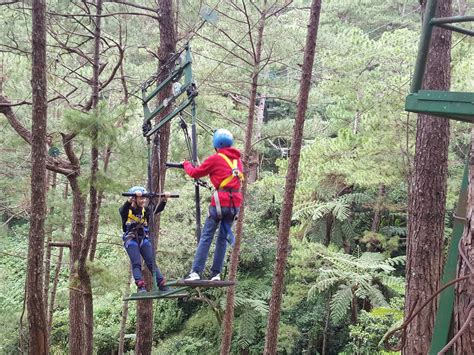 TREE TOP ADVENTURE (2026) All You Need to Know BEFORE You Go (with ...