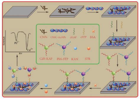 Contribution of Nanomaterials to the Development of Electrochemical ...