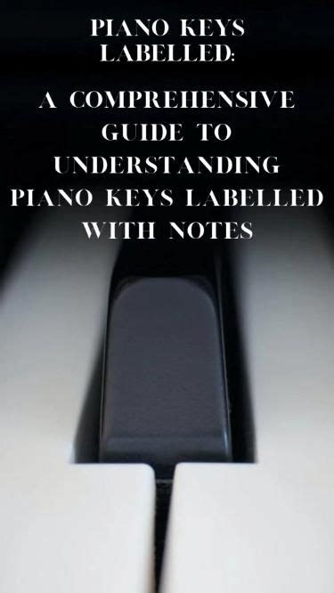 Image result for Piano Notes Labeled