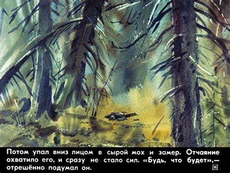 Картинки к сказке астафьева васюткино озеро (67 фото)