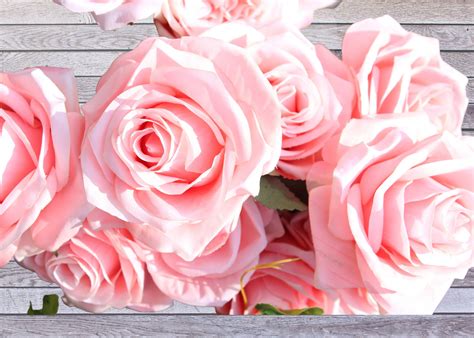 Rose Flower Meanings & Symbolism - The Language of Roses