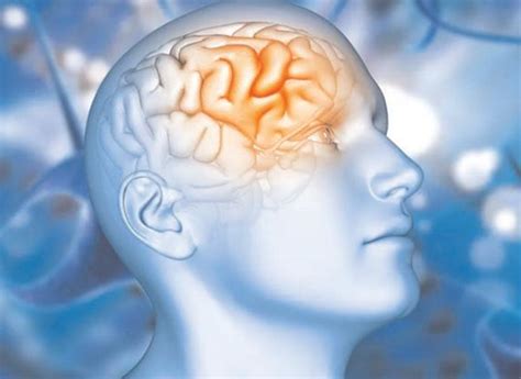 Study uncovers brain processes that help distinguish reality from ...