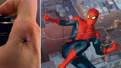 What kind of spider bit peter parker - teafiko